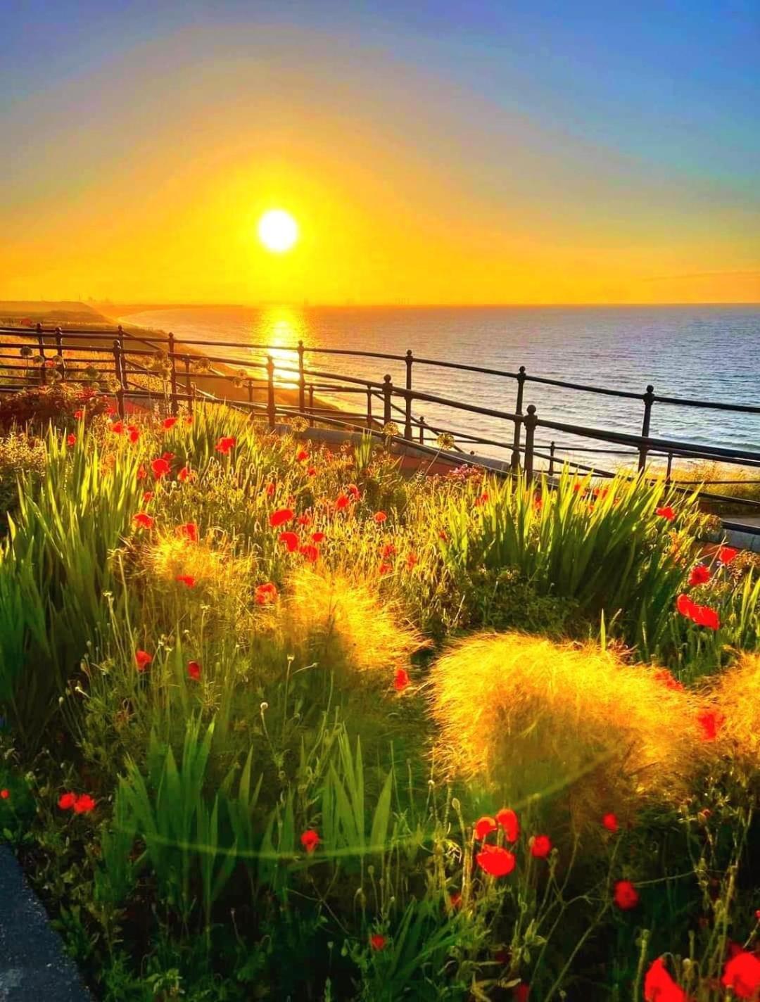 Sea Forever Oceanfront Home Perfectly Saltburn Εξωτερικό φωτογραφία