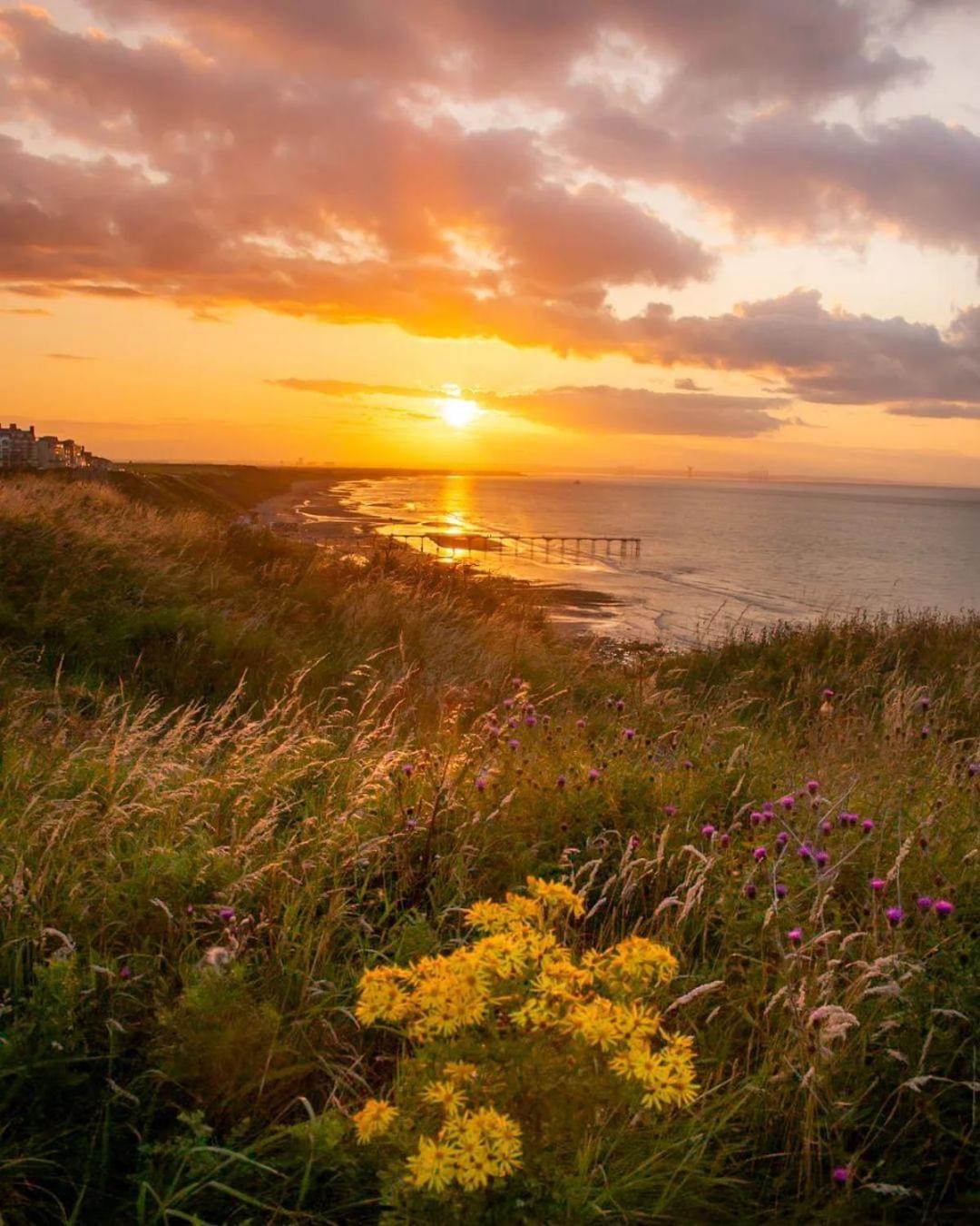 Sea Forever Oceanfront Home Perfectly Saltburn Εξωτερικό φωτογραφία